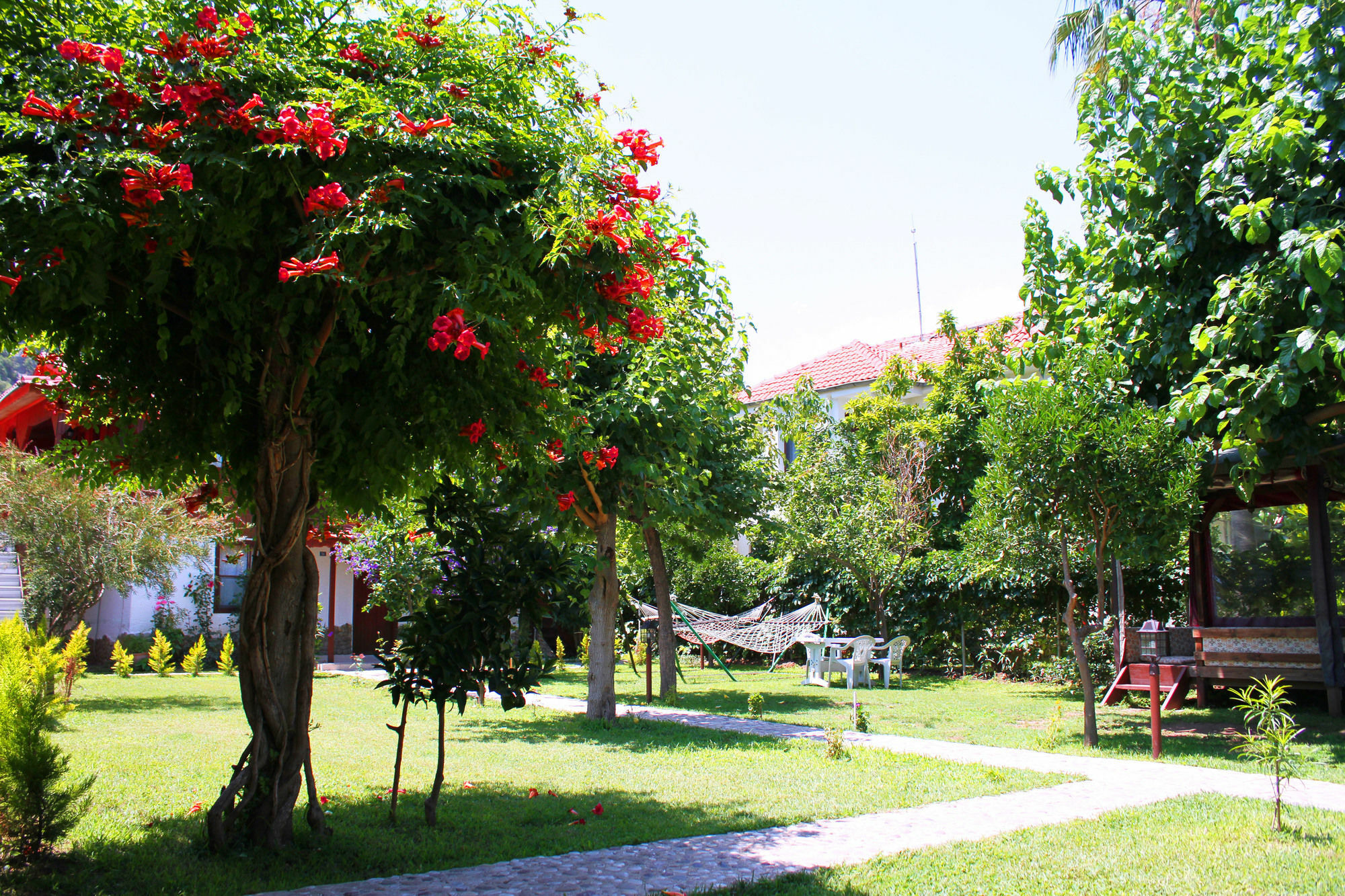 Alican Pension Çıralı Exteriör bild